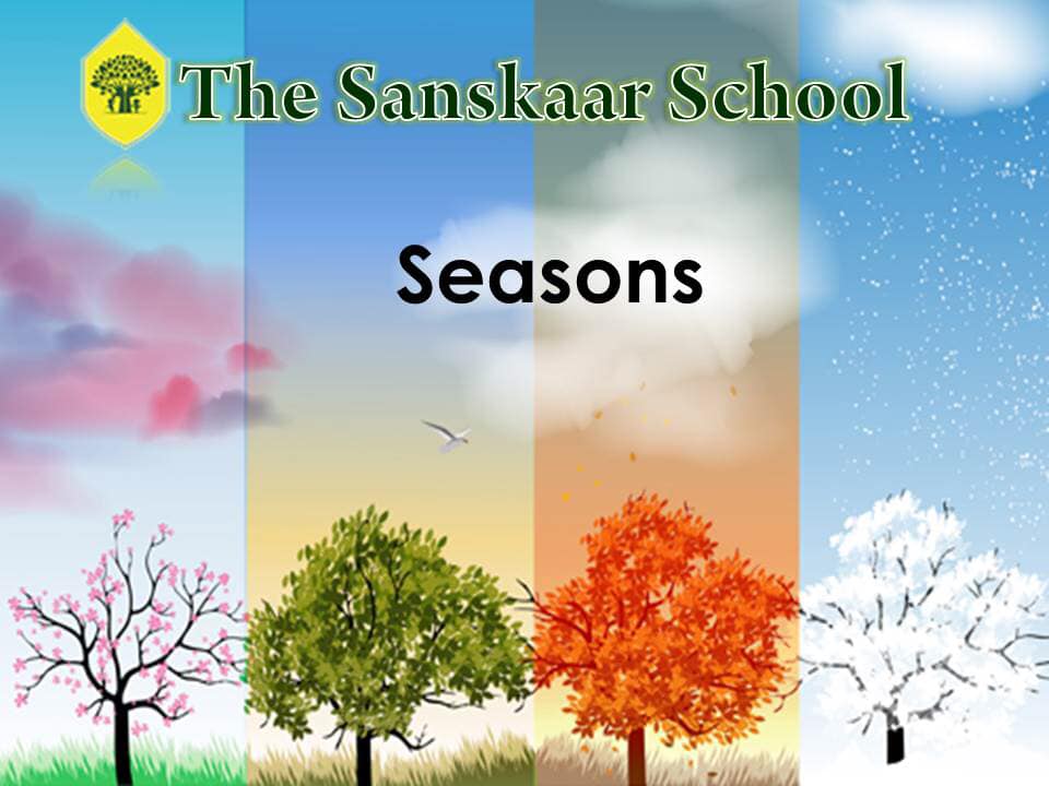 The Sanskaar School